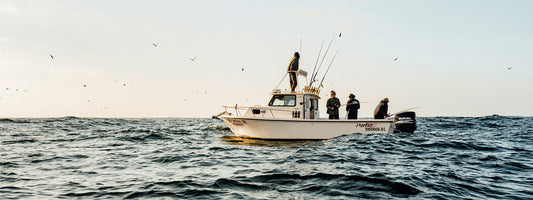 Uncharted: Mission to Baja
