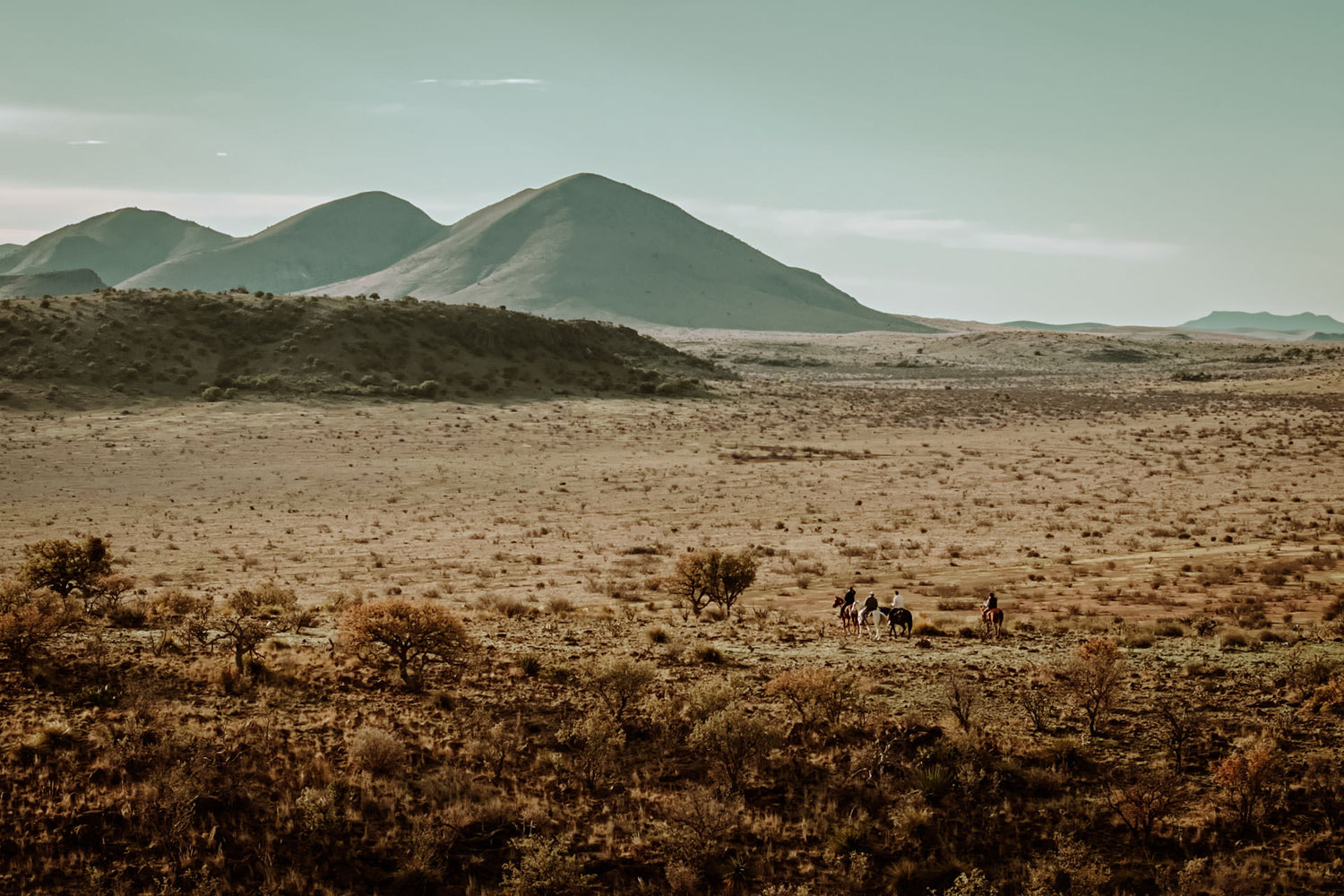 Men on horseback in the desert.