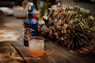 A cocktail on a table with a sotol plant.